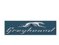 Up To 10% OFF With Greyhound Military Discount